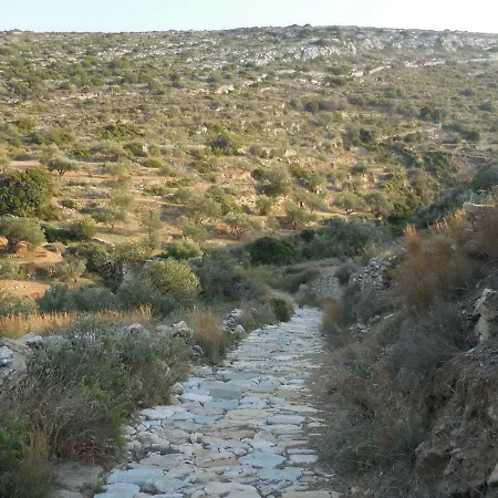 Panorama -breakfast Included- Hotel Aliki (Paros)